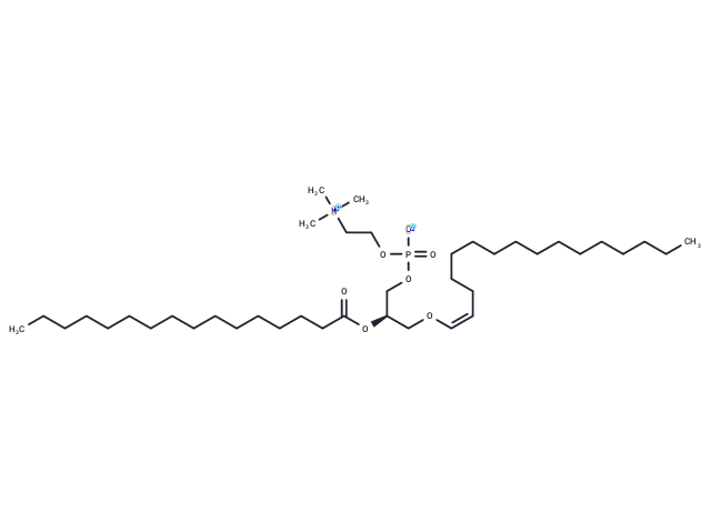 化合物 1-1(Z)-Hexadecenyl-2-Palmitoyl-sn-glycero-3-PC|T85064|TargetMol