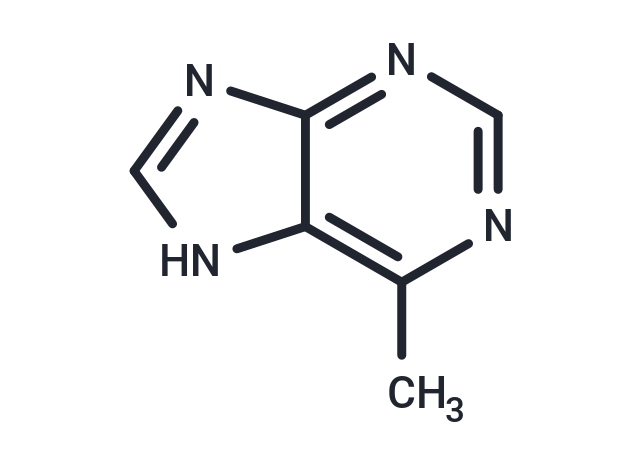 化合物 6-Methylpurine|TNU0683|TargetMol