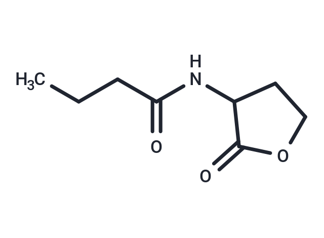 化合物 N-Butanoyl-DL-homoserine lactone|T13788|TargetMol