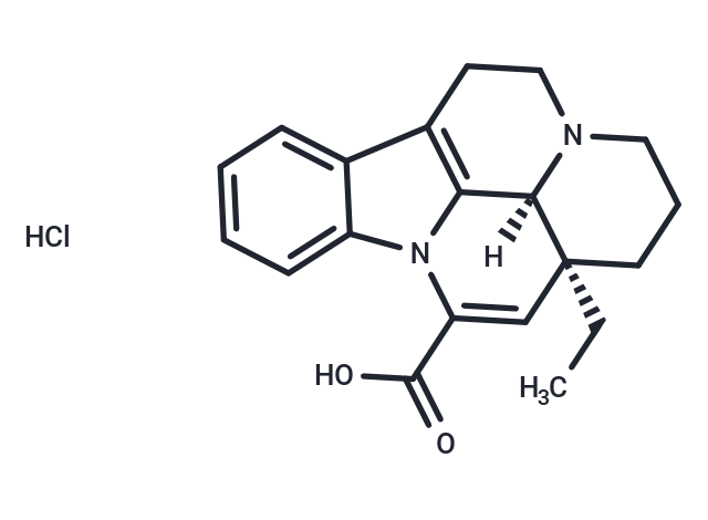 Apovincaminic acid hydrochloride salt|T37406|TargetMol