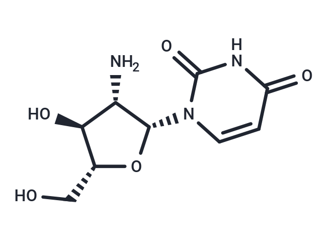 化合物 2’-Amino-2’-deoxy-b-D-arabinouridine|TNU0268|TargetMol