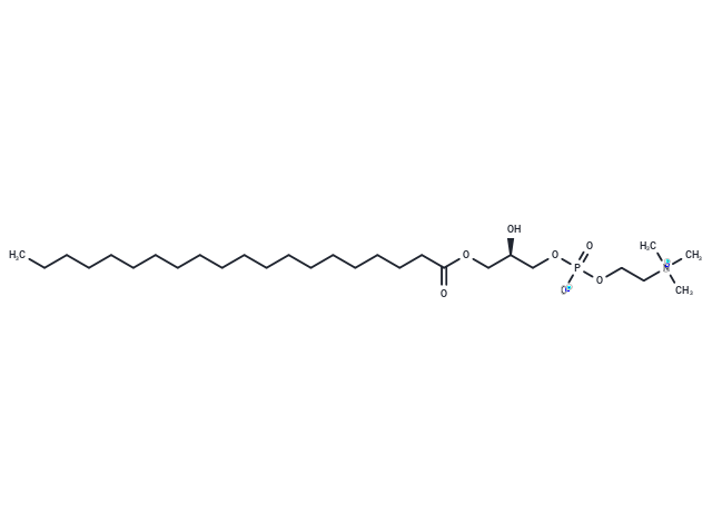 化合物 1-Arachidoyl-sn-glycero-3-phosphocholine|T19087|TargetMol