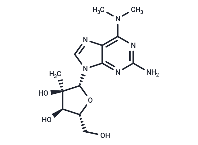 化合物 2’-b-C-Methyl-2-amino-N6,N6-dimethyladenosine|TNU0116|TargetMol