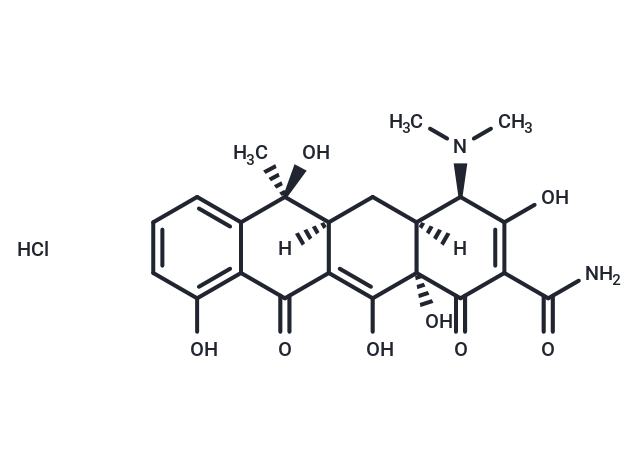 Epitetracycline (hydrochloride)|T37965|TargetMol