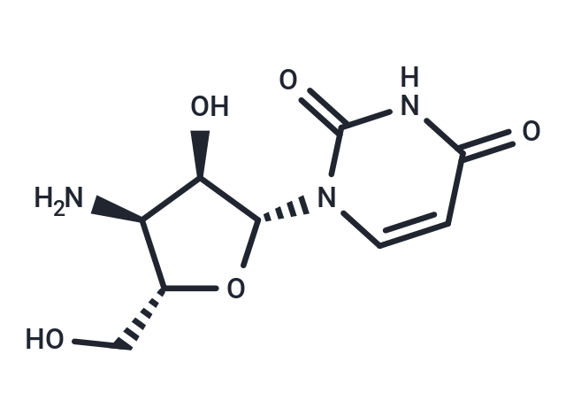 化合物 3’-Amino-3’-deoxyuridine|TNU0229|TargetMol