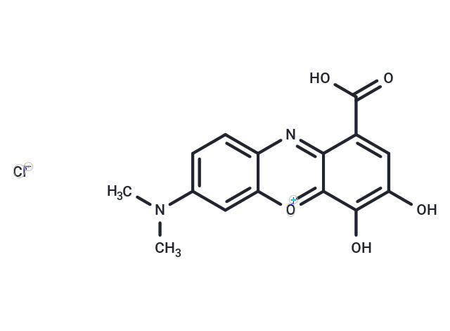 Gallocyanine|T35551|TargetMol