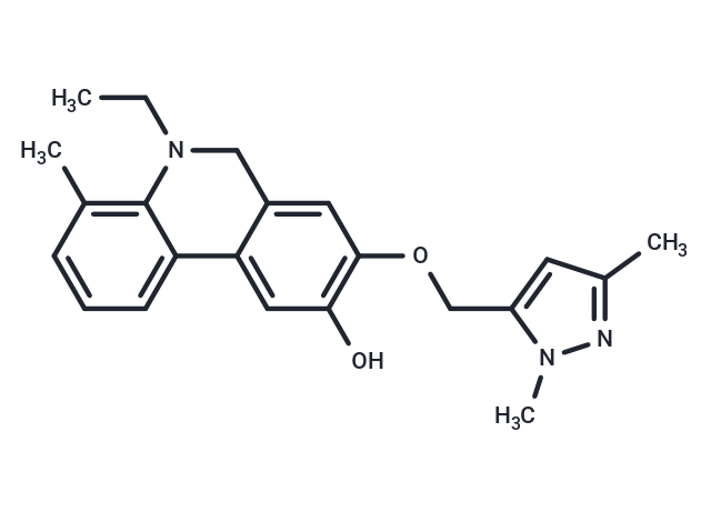 化合物 Wnt/β-catenin agonist 1|T13344|TargetMol