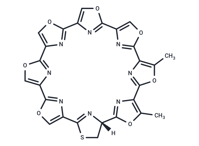 化合物 Telomestatin|T28942|TargetMol