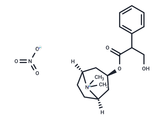 Methylatropine (nitrate)|T36204|TargetMol