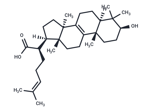 3-羟基羊毛甾-8,24-二烯-21-酸|TN2280|TargetMol