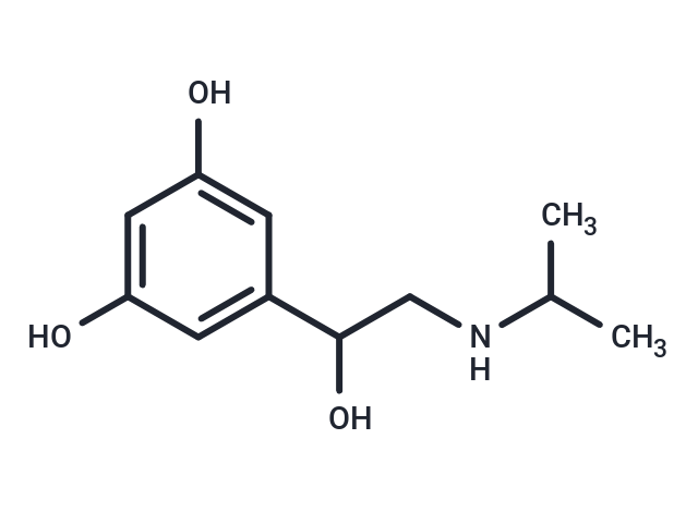 化合物 Metaproterenol|T16043|TargetMol