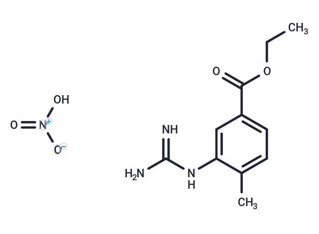 化合物 Ethyl 3-guanidino-4-methylbenzoate nitrate|T66321|TargetMol