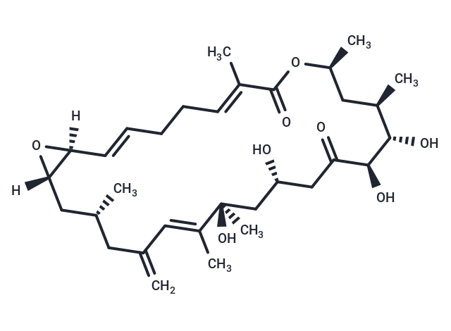 化合物 Amphidinolide D|T71443|TargetMol