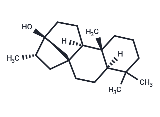 化合物 13-Hydroxystevane|T23579|TargetMol