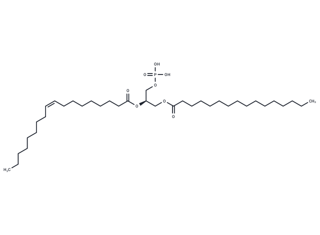 化合物 1-Palmitoyl-2-Oleoyl-sn-glycero-3-PA|T84376|TargetMol