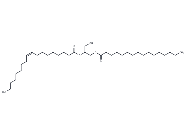 化合物 1-Palmitoyl-2-Oleoyl-rac-glycerol|T85136|TargetMol