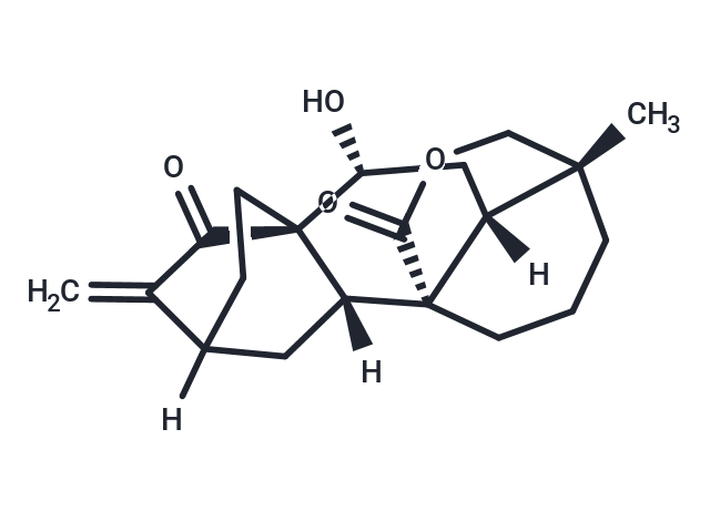 化合物 NC043|T28135|TargetMol