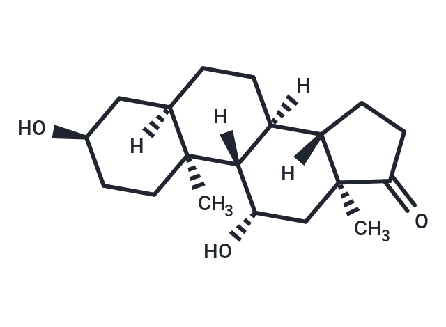 化合物 11β-hydroxy Etiocholanolone|T85013|TargetMol