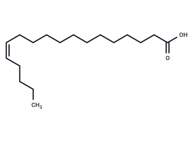 化合物 cis-13-Octadecenoic Acid|T84991|TargetMol