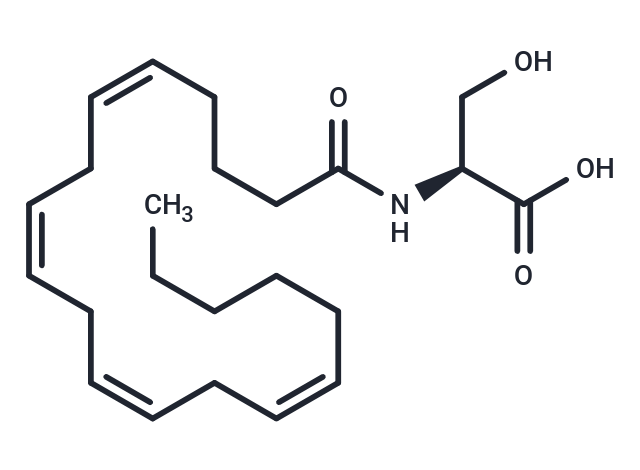 化合物 N-Arachidonoyl-L-Serine|T84551|TargetMol