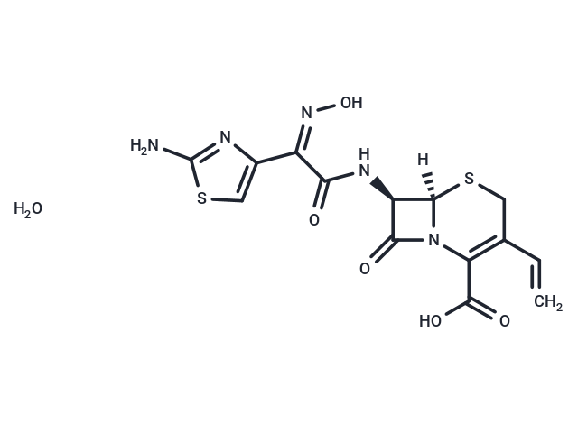 化合物 Cefdinir monohydrate|T69873|TargetMol