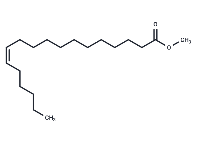 化合物 12(Z)-Octadecenoic Acid methyl ester|T84526|TargetMol