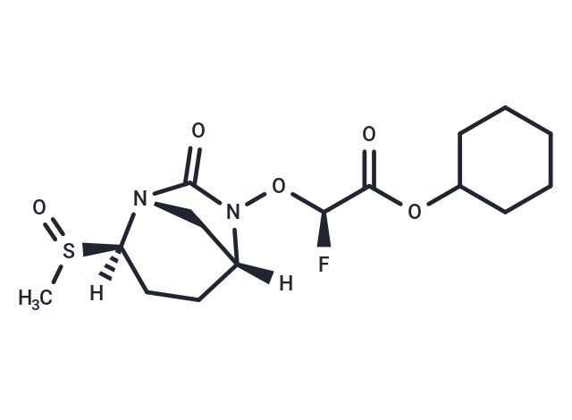 β-Lactamase-IN-6|T39865|TargetMol