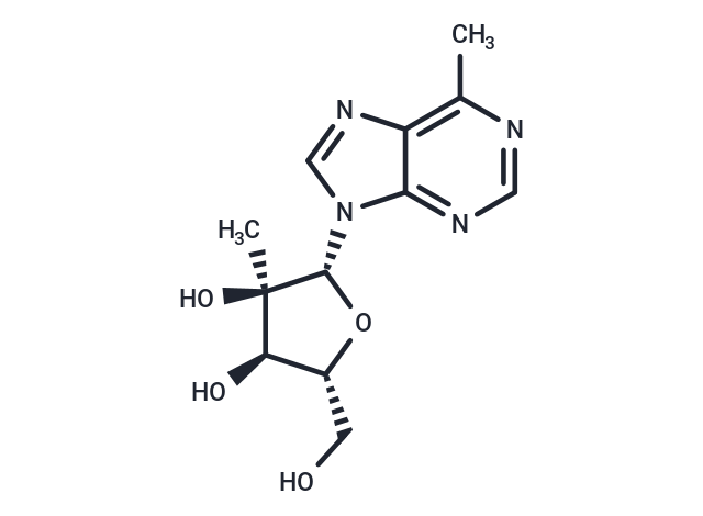 化合物 6-Methyl-9-(2-C-Methyl-beta-D-ribofuranosyl) purine|TNU0101|TargetMol