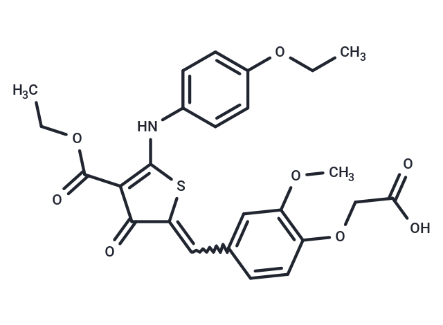 化合物 ZINC08438472|T24864|TargetMol