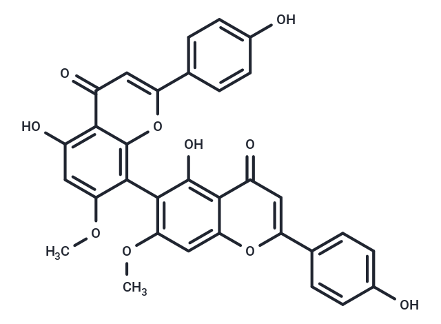 化合物 DMGF|T69269|TargetMol