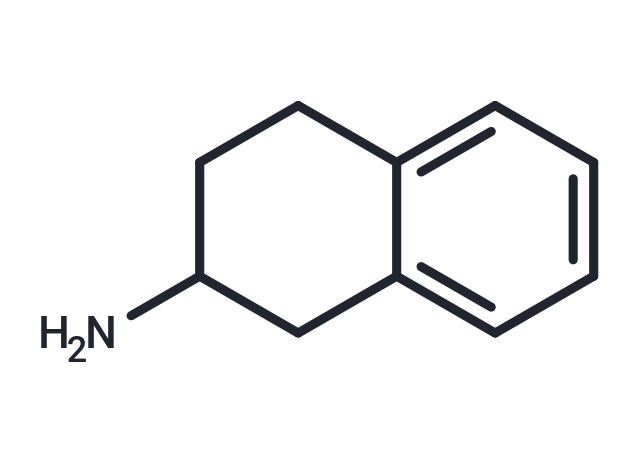 化合物 2-Aminotetralin|T84955|TargetMol