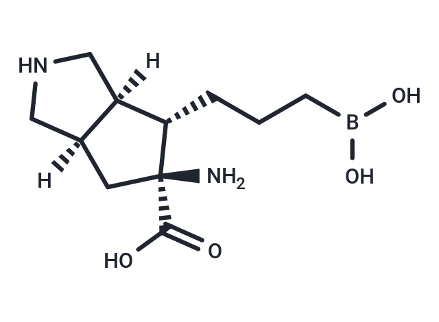 ARG1-IN-1|T39932|TargetMol