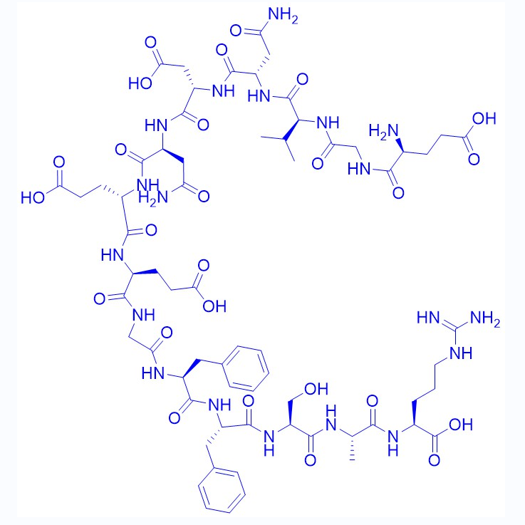 Glu1]-Fibrinopeptide B acetate/103213-49-6/[Glu1]-纤维蛋白肽B