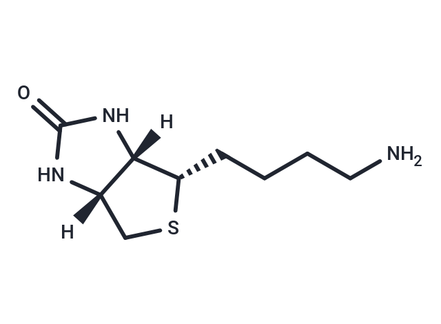 化合物 Norbiotinamine|T19482|TargetMol