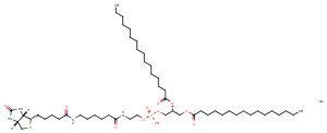 1,2-Dipalmitoyl-sn-glycero-3-PE-N-(cap biotin) (sodium salt)|T36451|TargetMol