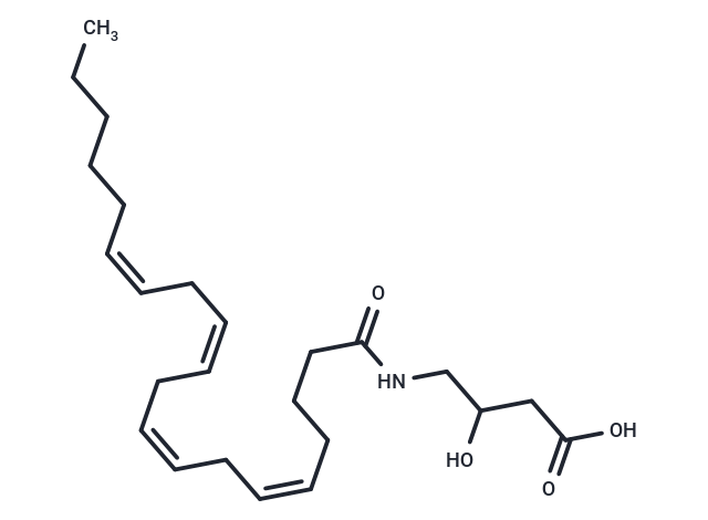 N-Arachidonoyl-3-hydroxy-γ-Aminobutyric Acid|T38225|TargetMol