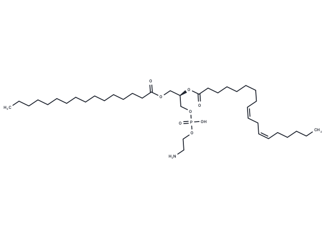 1-Palmitoyl-2-linoleoyl PE|T37785|TargetMol