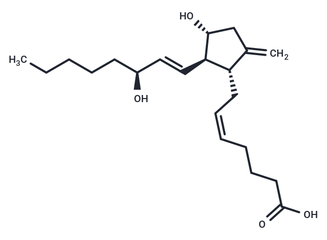 9-deoxy-9-methylene Prostaglandin E2|T36728|TargetMol