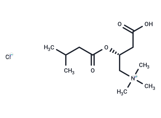 Isovaleryl-L-carnitine (chloride)|T36098|TargetMol