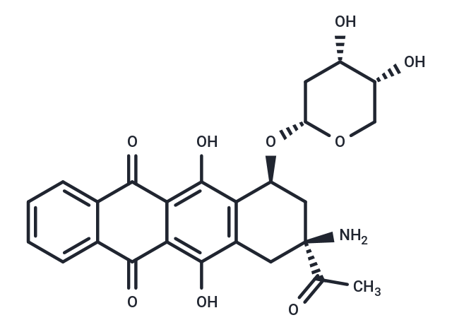 化合物 Amrubicin HCl|T68336|TargetMol