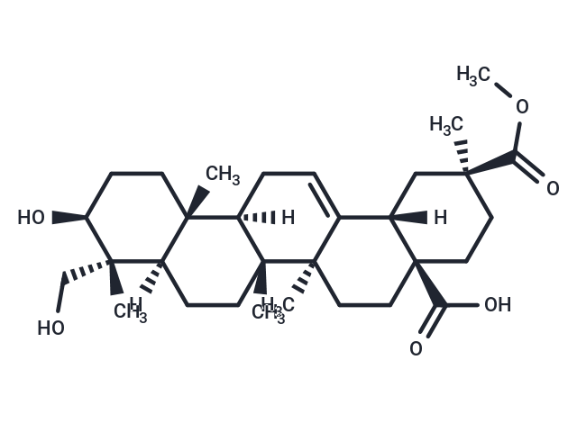 化合物 Phytolaccagenic acid|TN2065|TargetMol