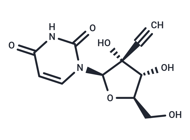 化合物 2’-beta-C-Ethynyluridine|TNU0472|TargetMol