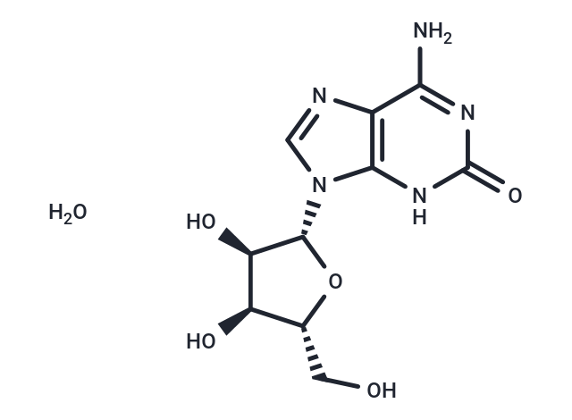 化合物 Isoguanosine|TNU0026|TargetMol