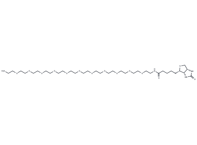 化合物 Biotin-PEG11-amine|T14580|TargetMol