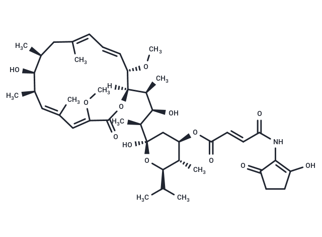 巴佛洛霉素 B1|T10455|TargetMol