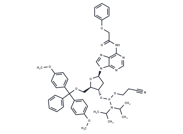 化合物 DMT-dA(PAc) Phosphoramidite|T74121|TargetMol