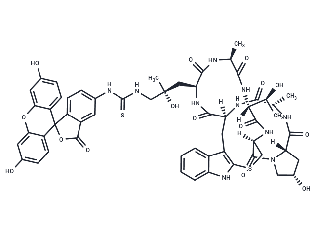 Phalloidin-FITC|T41196|TargetMol