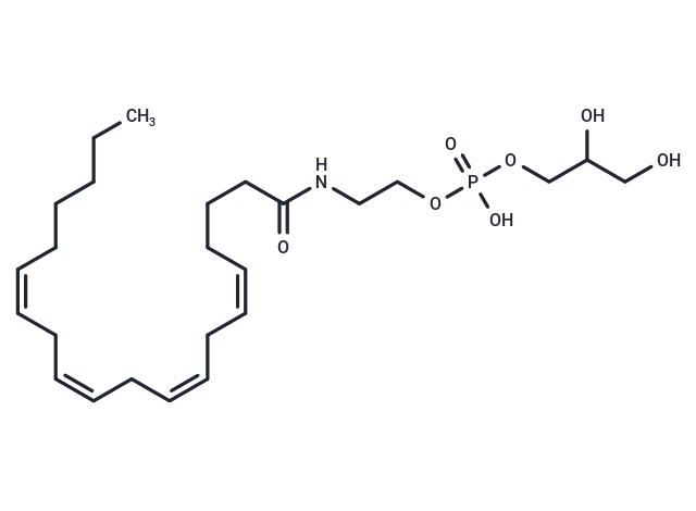 Glycerophospho-N-Arachidonoyl Ethanolamine|T37530|TargetMol