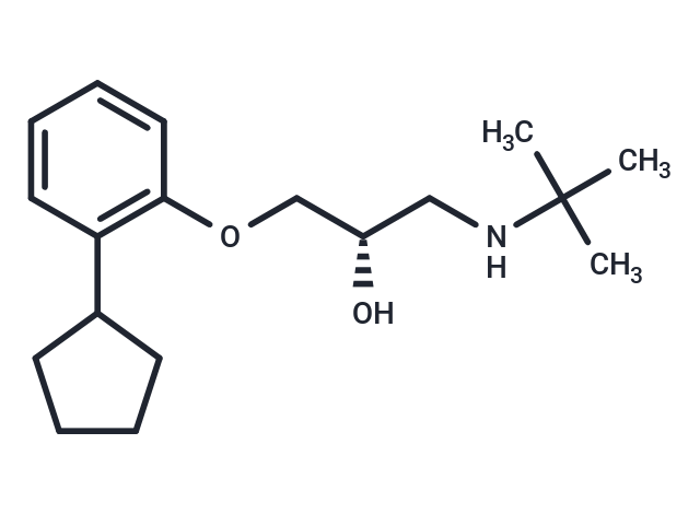 化合物 Penbutolol|T12402L|TargetMol