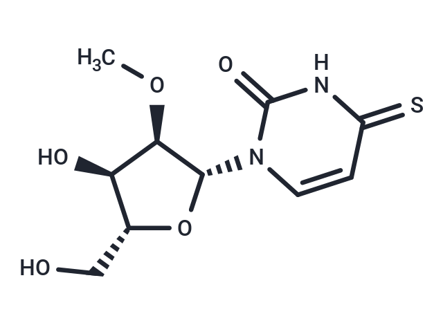 化合物 2’-O-Methyl-4-thiouridine|TNU0236|TargetMol